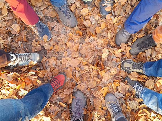 Elbtal-Wandererlebnisse • Organisation von Teamevents firmenangebot-teamevents